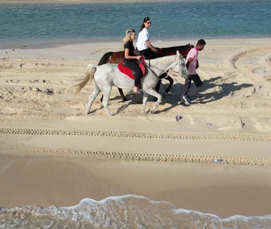 Doha: Arabian Horse Riding Experience –Sea or Desert Options - Desert vs sea horseback: choosing Mesaieed the smart way