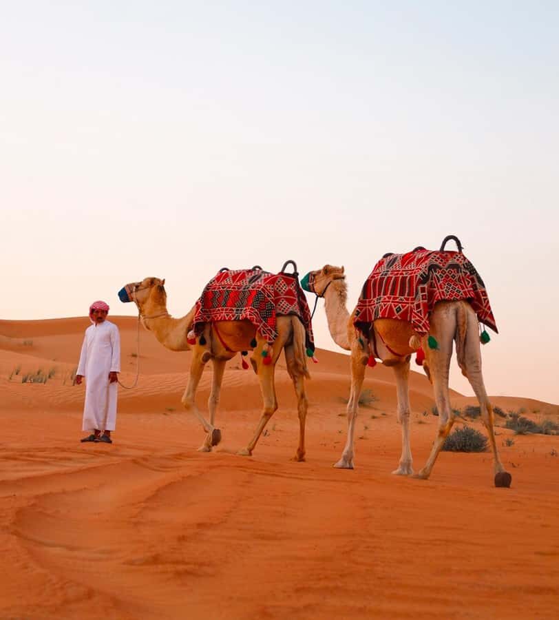 Doha: ATV/Desert Safari with Activities and Inland Sea Stop - What the 270-Minute Day Feels Like: Timing That Keeps You Energized
