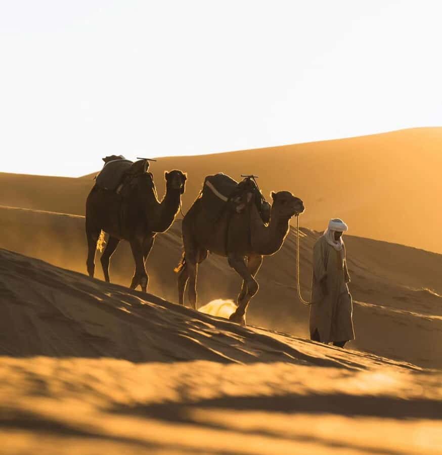 Doha: ATV/Desert Safari with Activities and Inland Sea Stop - What’s Included for $19: The Value Equation (and the One Missing Piece)