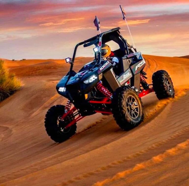 Doha: ATV Quad Bike and Buggy Desert Safari with Camel Ride - The Bedouin stop: tea, falcons, and camels up close