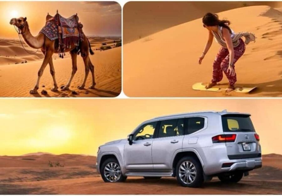Doha: ATV, Quad/Buggy Dune Bashing, Camel Ride, Sandboarding - Key Points That Matter Before You Go