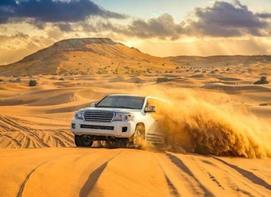 Doha: Budget Friendly Desert Safari,CamelRide & Sandboarding - Bedouin-Style Camp Break: Tea, Calm, and Desert Views