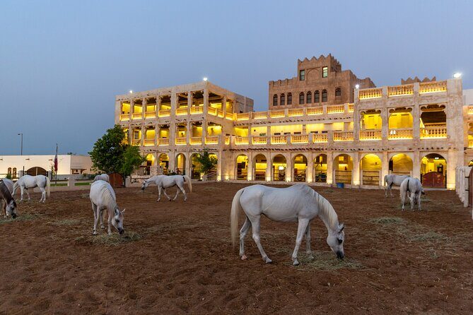 Doha City Highlights Guided Tour With Dhow Cruise - Katara Cultural Village: Free Entry Culture with Real Places to Look