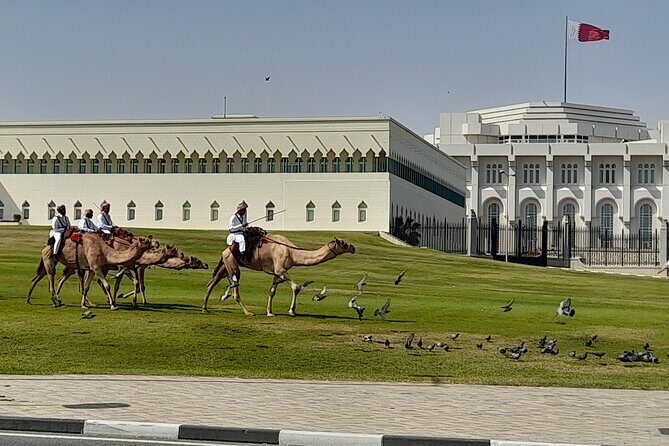 Doha City Tour with Pick Up & drop off Airport or Cruise Terminal - What makes the guide matter (and why names like Hussain and Aziz show up)