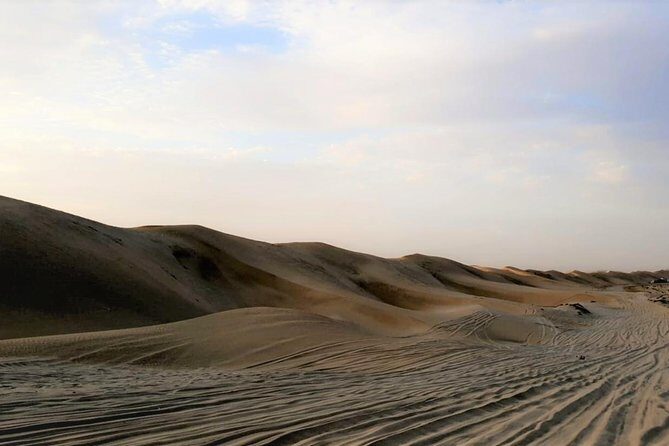 Doha Combo City And Half Day Desert Safari Tour No Hidden cost - National Museum of Qatar: the desert rose you can walk through