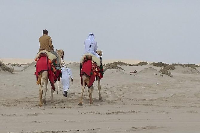 Doha Combo City And Half Day Desert Safari Tour No Hidden cost - Pickup comfort and the 4x4 advantage