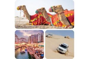 Doha : Combo Private City Tour & Half-day Desert Safari - National Museum of Qatar: Modern Design With Qatari Identity