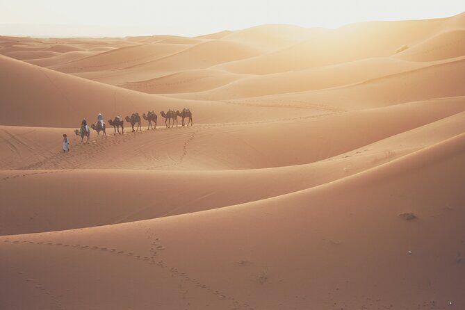Doha Desert Adventure, Sandboarding, Dune Bashing,Inland Sea Tour - How the timing works: 4 hours that don’t drag