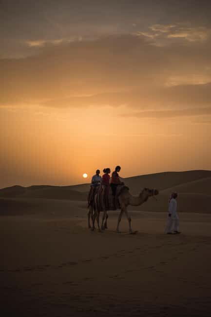 Doha Desert Excursion, Camel Ride, Inland sea, Sandboarding - Dune bashing: almost 40 minutes of 4x4 sand driving