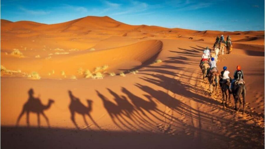 Doha Desert Excursion, Camel Ride, Inland sea, Sandboarding - Who should book this safari (and who might want something else)