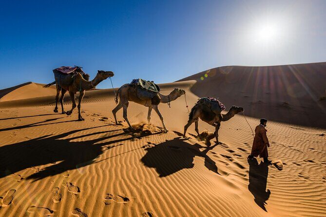 Doha Desert Excursion Dune Bashing Sandboarding Camel Ride - Inland Sea Beach Finish: A Quieter, Remote Feeling