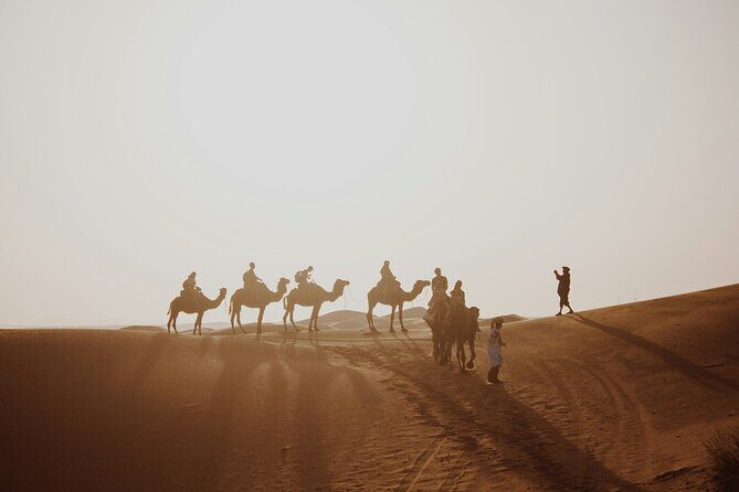 Doha Desert Excursion Dune Bashing Sandboarding Camel Ride - What to Bring (and What to Wear) for Desert + Beach