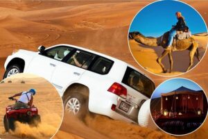 Doha: Desert Safari | Camel ride | Sand-boarding | Quad Biking - Khor Al Udeid Beach: dunes that meet the sea