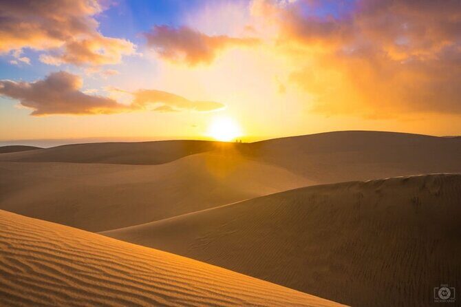 Doha Desert Safari Dune Bashing Camel Ride Sandboarding - Sunrise or Sunset in Doha: The Real Difference You’ll Notice