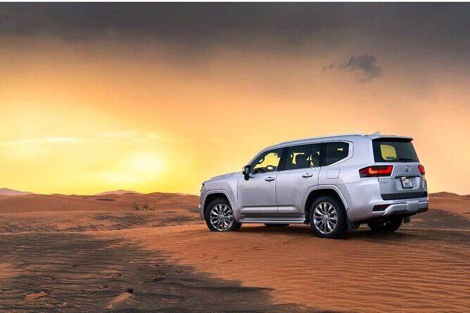 Doha: Desert Safari: Dune Bashing, Quad Bikes & Camel Rides - Who Should Book This Safari, and Who Should Skip It
