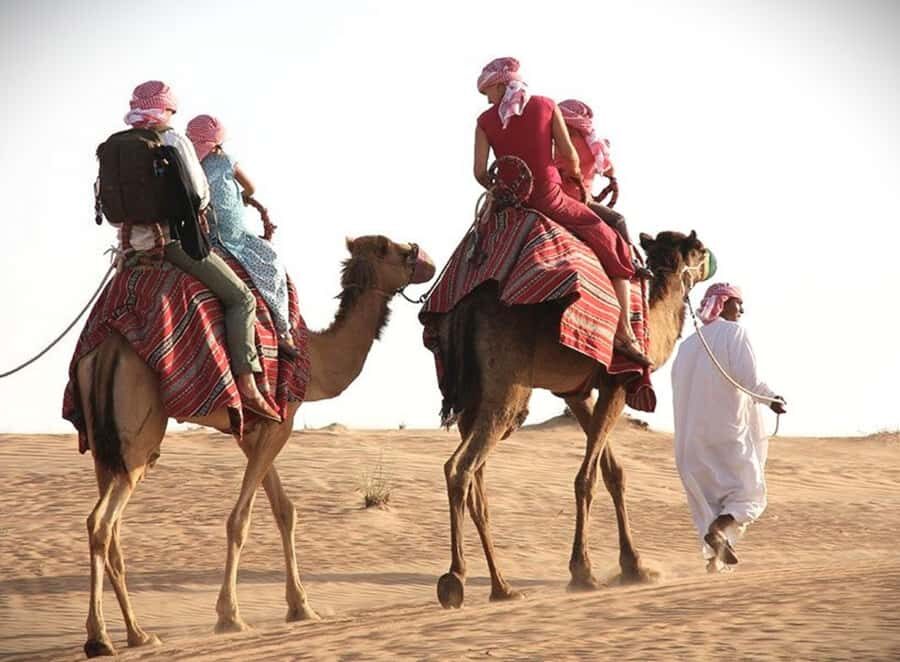Doha: Desert Safari Dune Bashing, Sandboarding, & Camel Ride - How the tour feels: fast-paced desert thrills with real Gulf scenery