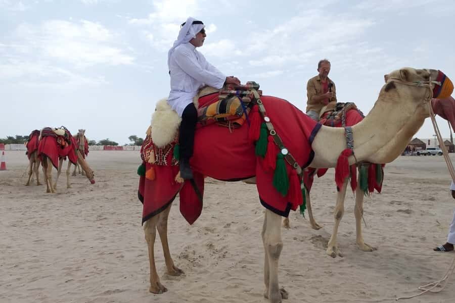 Doha: Desert Safari Dune Bashing, Sandboarding, & Camel Ride - Inland Sea at the Gulf edge: sandboarding and a quick dip moment