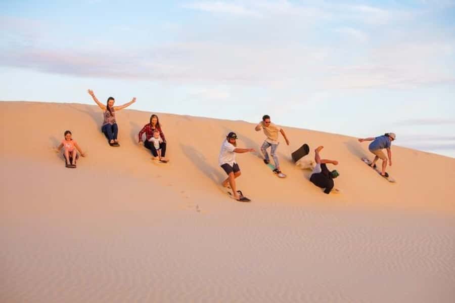 Doha: Desert Safari, Dune Bashing, Sandboarding, Camel Ride - A Quick Swap From Doha Streets to Qatar Sand