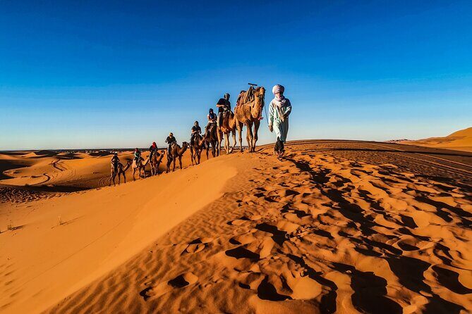 Doha Desert Safari Dune bashing,Sandboarding,CamelRide,Inland Sea - Doha desert time: the Inland Sea makes it feel bigger than a standard ride