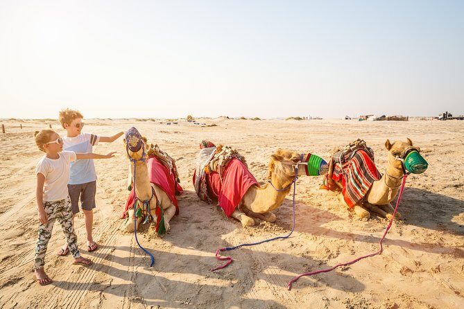 Doha Desert Safari: Dunebashing, Camel, Sandboarding & Inland Sea - Dune Bashing in Doha: Fast, Bumpy, and Very Much the Main Event