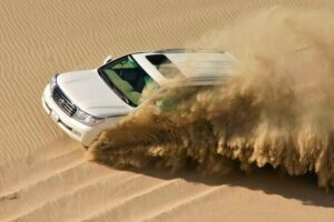 Doha Desert Safari Horse Riding, Camel Ride, ATVs & Inland Sea - Sealine Beach horse riding: Arabian horses and a real guided session