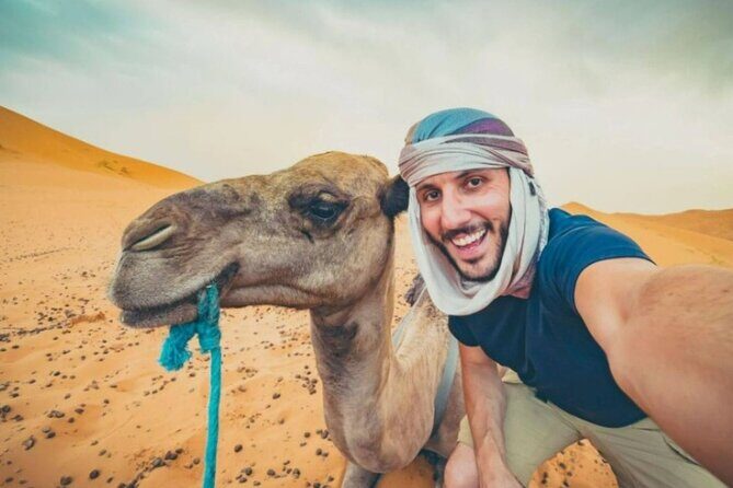 Doha Desert Safari Horse Riding, Camel Ride, ATVs & Inland Sea - ATV quad biking across the dunes: get the adrenaline without the guesswork