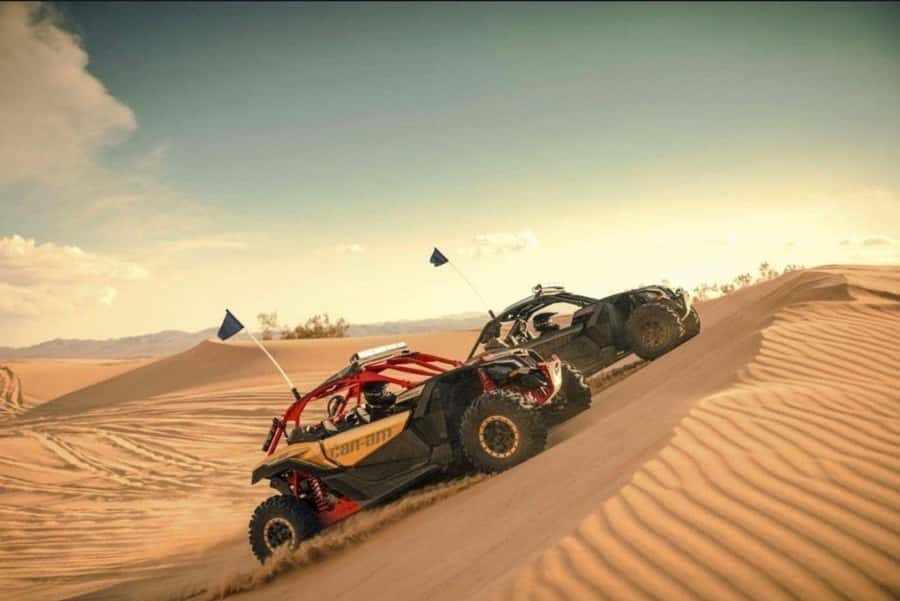 Doha: Desert Safari, Quad Bike, Camel Ride & Inland Sea Tour - Sandboarding at Inland Sea Beach: the closest thing to a desert water-sports moment