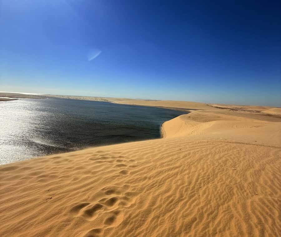 Doha: Desert Safari, Quad Bike, Camel Ride & Inland Sea - The quad bike session: the main event (and the time option you should care about)