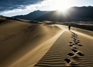 Doha: Desert Safari, Quad Biking, Sand Boarding & Camel Ride - Bedouin camp time: camels, falcons, tea or coffee, and a real change of pace