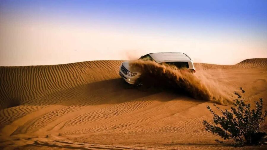Doha: Desert Safari, Sandboarding, Camel Ride and Inland Sea - Mesaieed stop: a quick break and a short visit