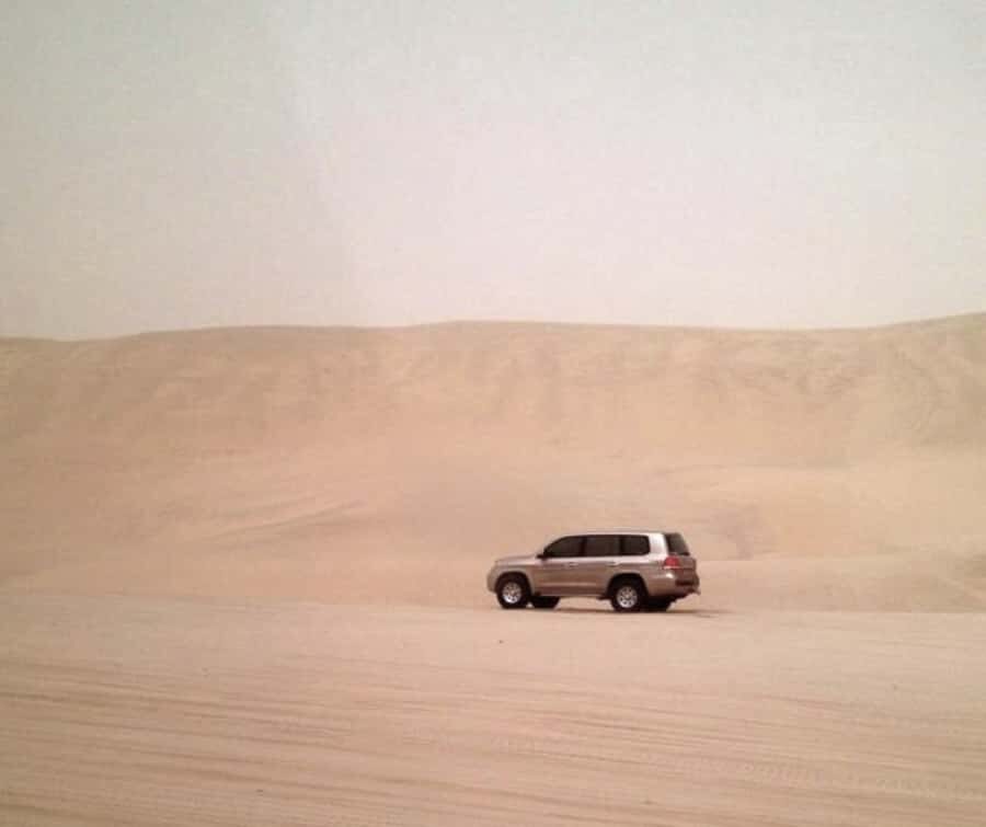 Doha Desert Safari: Sandboarding, Camel Ride & Swimming Fun - Dune Bashing in the Qatar Desert: Fast, Fun, and Driver-Dependent