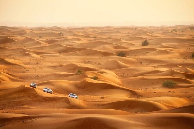 Doha: Desert Safari With Quad bike ,Camel Ride And Sand Boarding - Sealine Beach Stop: Tea, Toilets, and Camel Ride Break