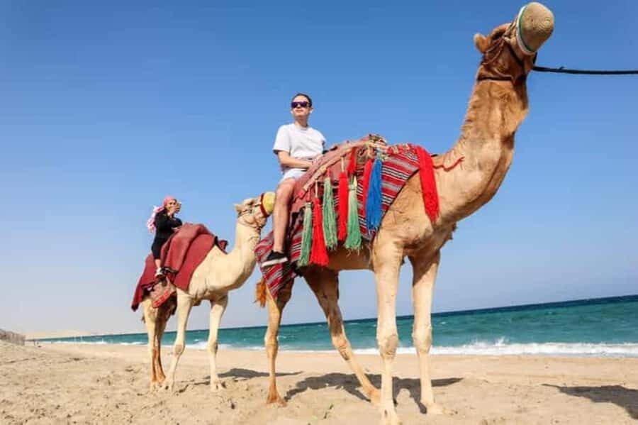 Doha: DesertSafari with Quad Bike, Camel Ride & Sandboarding - Camel stopover: tea, photos, and a short ride that won’t eat your day