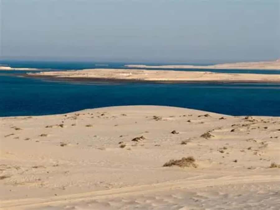 Doha: DesertSafari with Quad Bike, Camel Ride & Sandboarding - Guides make the difference: Rafiq, Addi, and the photo-help factor