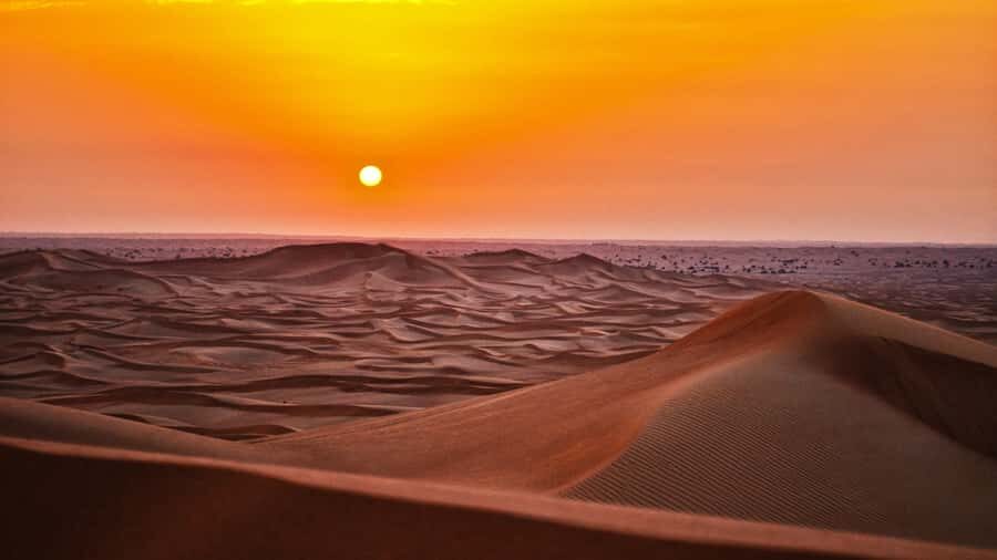 Doha: Dune Bashing Safari, Falcon, Camel, ATV, Sandboarding - Key moments to plan for