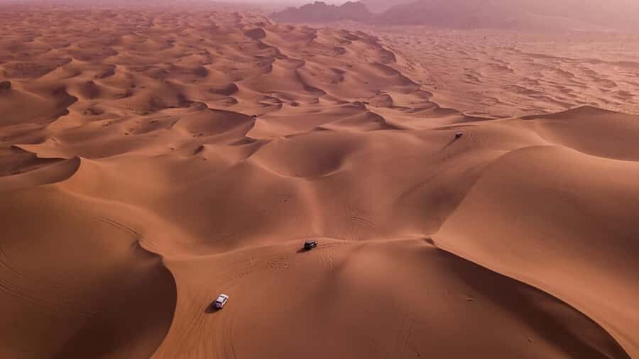 Doha: Dune Bashing Safari, Falcon, Camel, ATV, Sandboarding - Sealine stop: tire deflation, Bedouin tents, camels, and falcons