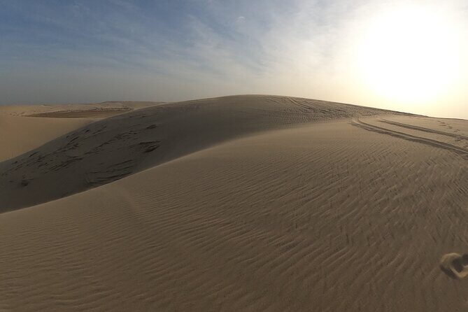 Doha: Escape to Eternity, Relaxing Desert Wonders with Camel Ride - Price and value: does $79 feel fair for Doha?