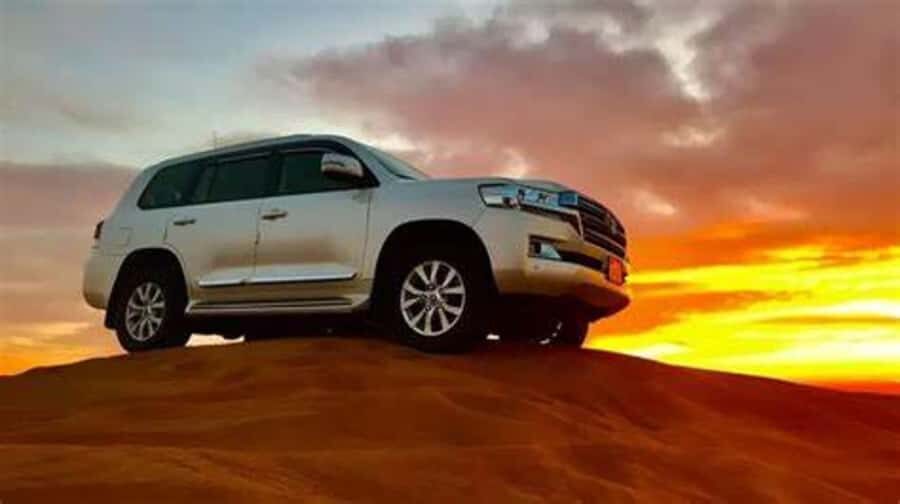 Doha: Full-Day Desert Safari, Dune Bashing & BBQ Dinner - Camel Ride at Sealine: A Slower Desert Moment