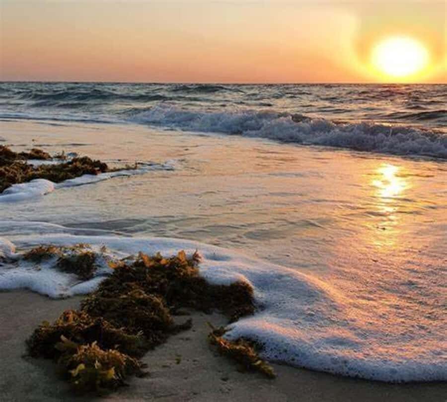 Doha: Full-Day Desert Safari, Dune Bashing & BBQ Dinner - Price and Value: What $195 Gets You (and Why It Adds Up)