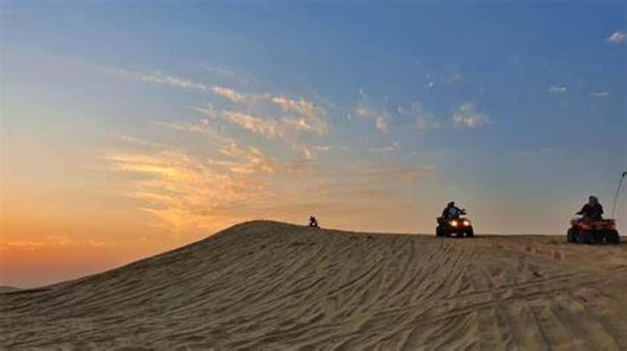 Doha: Full-Day Desert Safari, Dune Bashing & BBQ Dinner - Who Should Book This Safari (and Who Might Not Love It)
