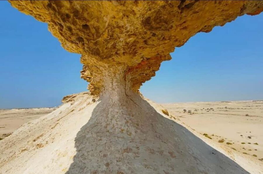 Doha: Full-Day North and West Tour with Forts and Qatari - Key Points You’ll Care About