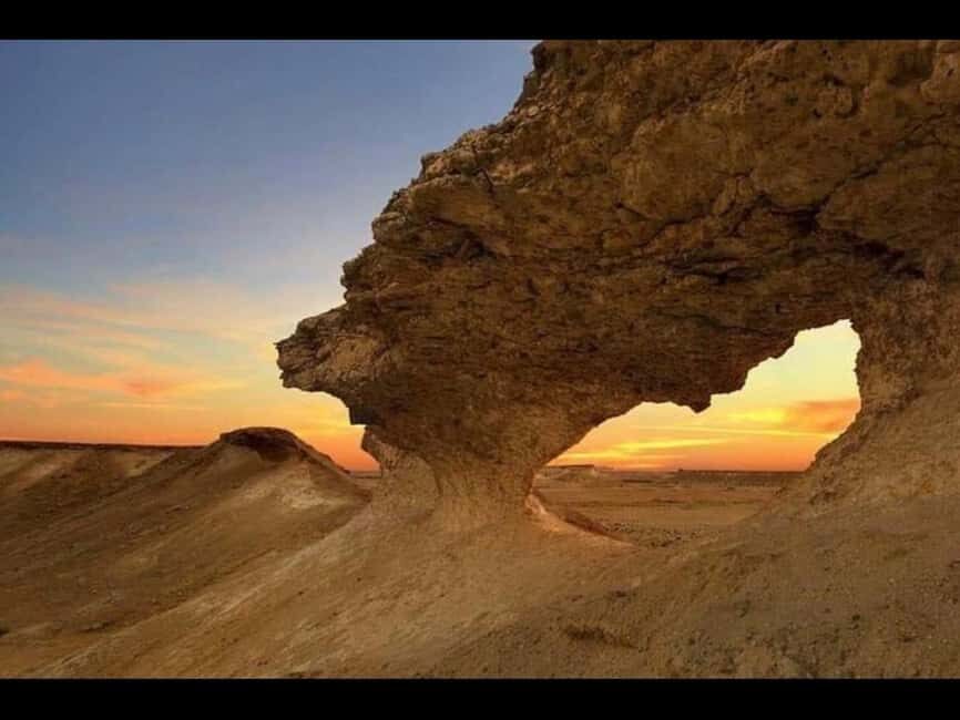 Doha: Full-Day North and West Tour with Forts and Qatari - Al Shamal: West Coast Views and a Bahrain Sight Chance