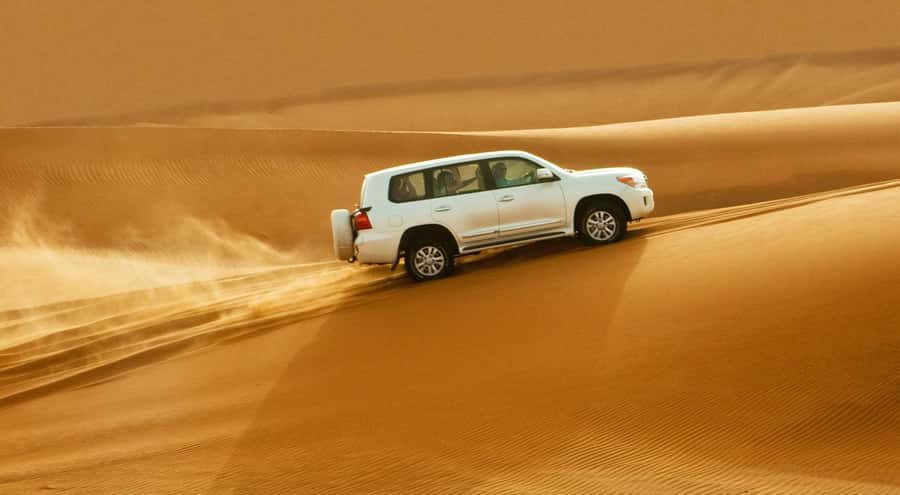 Doha: Half Day Desert Safari, Dune Bashing, Camel Ride - What You’re Really Paying for at About $24 per Person