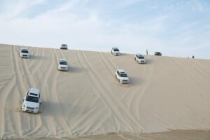 Doha: Half Day Desert Safari with Camel Ride and Inland Sea Tour - Sealine Beach at a Murwab Resort: tea first, then a camel ride