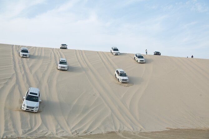 Doha: Half Day Desert Safari with Camel Ride and Inland Sea Tour - Sealine Beach at a Murwab Resort: tea first, then a camel ride