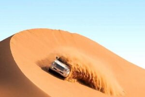 Doha Half Day Desert Safari with Camel Ride and Sand Boarding - Sealine Beach camel ride with tea/coffee and a calmer desert pace
