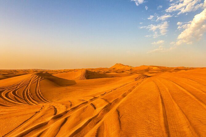 Doha Half Day Desert Safari with Camel Ride and Sand Boarding - Price and value: what $59 really buys you in Doha