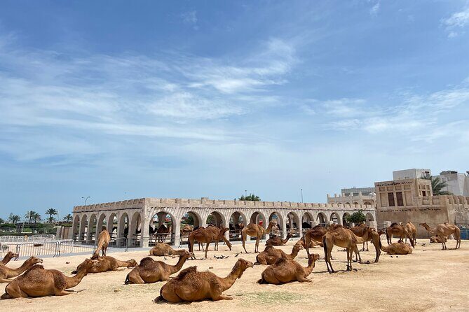 Doha Highlights Guided Tour With Dhow Cruise - Dhow sailing on the Persian Gulf: the highlight you should plan around