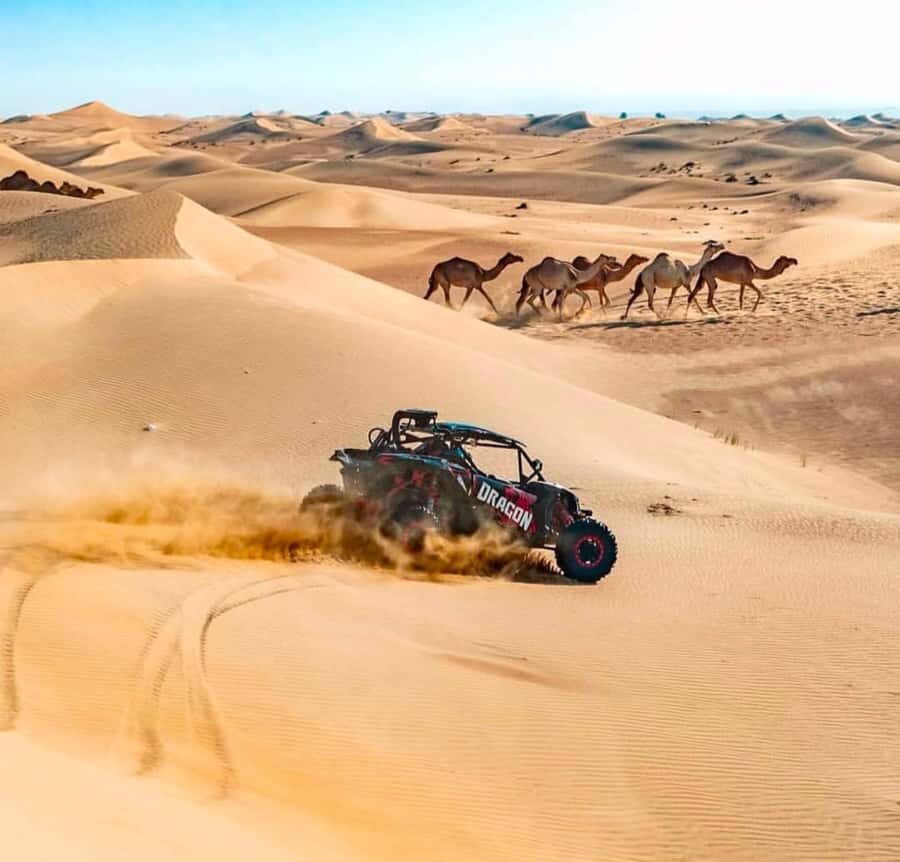 Doha: Inland Sea, Desert Safari, Camel Ride and Sandboarding - Price and value: why $17 can be a smart deal