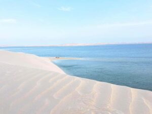 Doha : Inland Sea Desert Safari ,Camel Ride & Sandboarding - The 4-Hour Flow: Camel, Land Cruiser Dunes, Sandboard